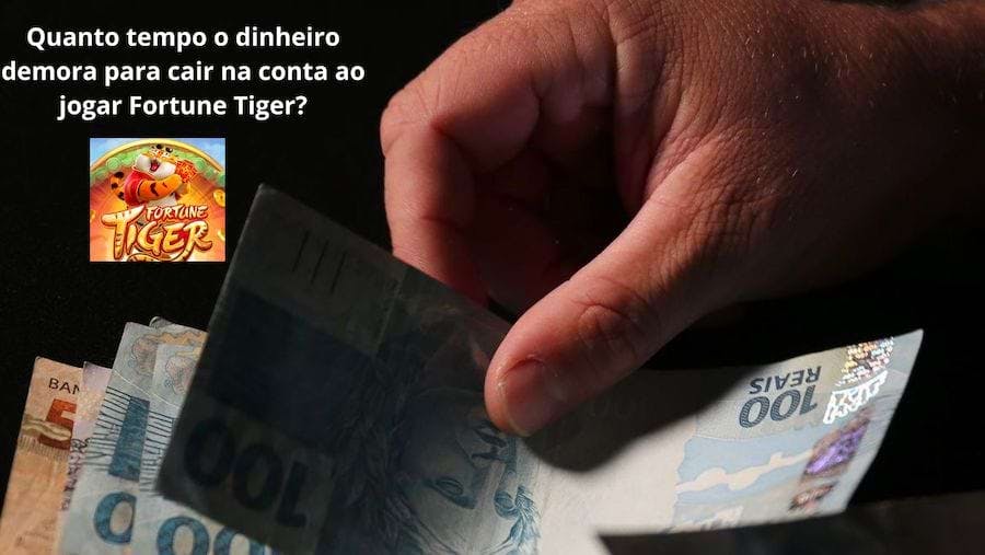 o que significa a palavra aposto