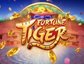 play free slot games no download