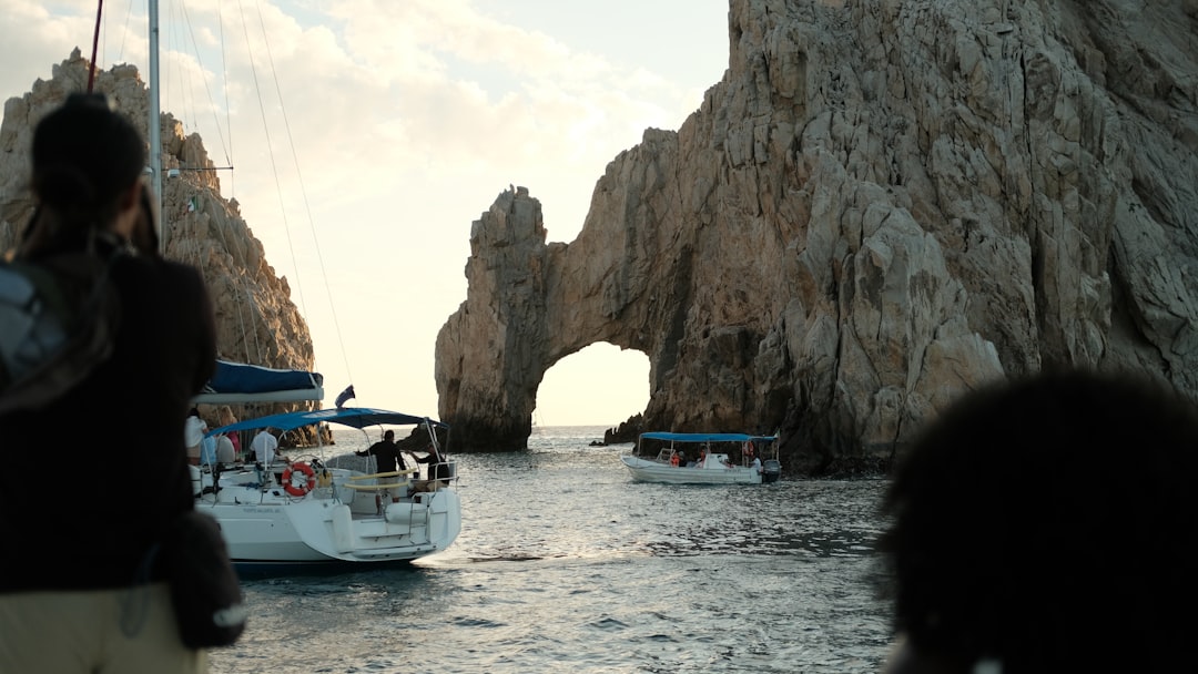 성수기 입장료 변동 구조 분석 4