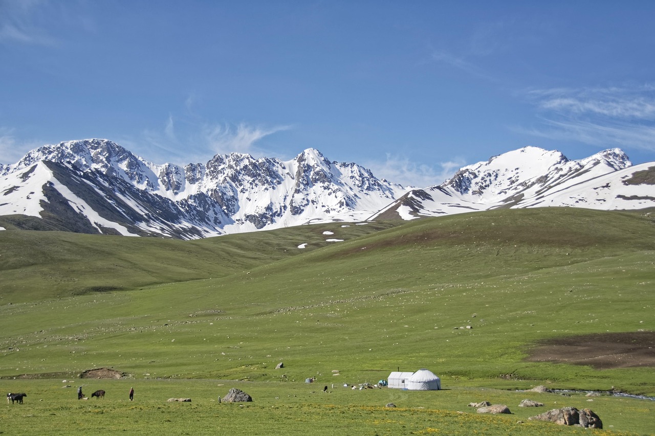 환전 타이밍 놓쳤을 때 손실 최소화 방법 3